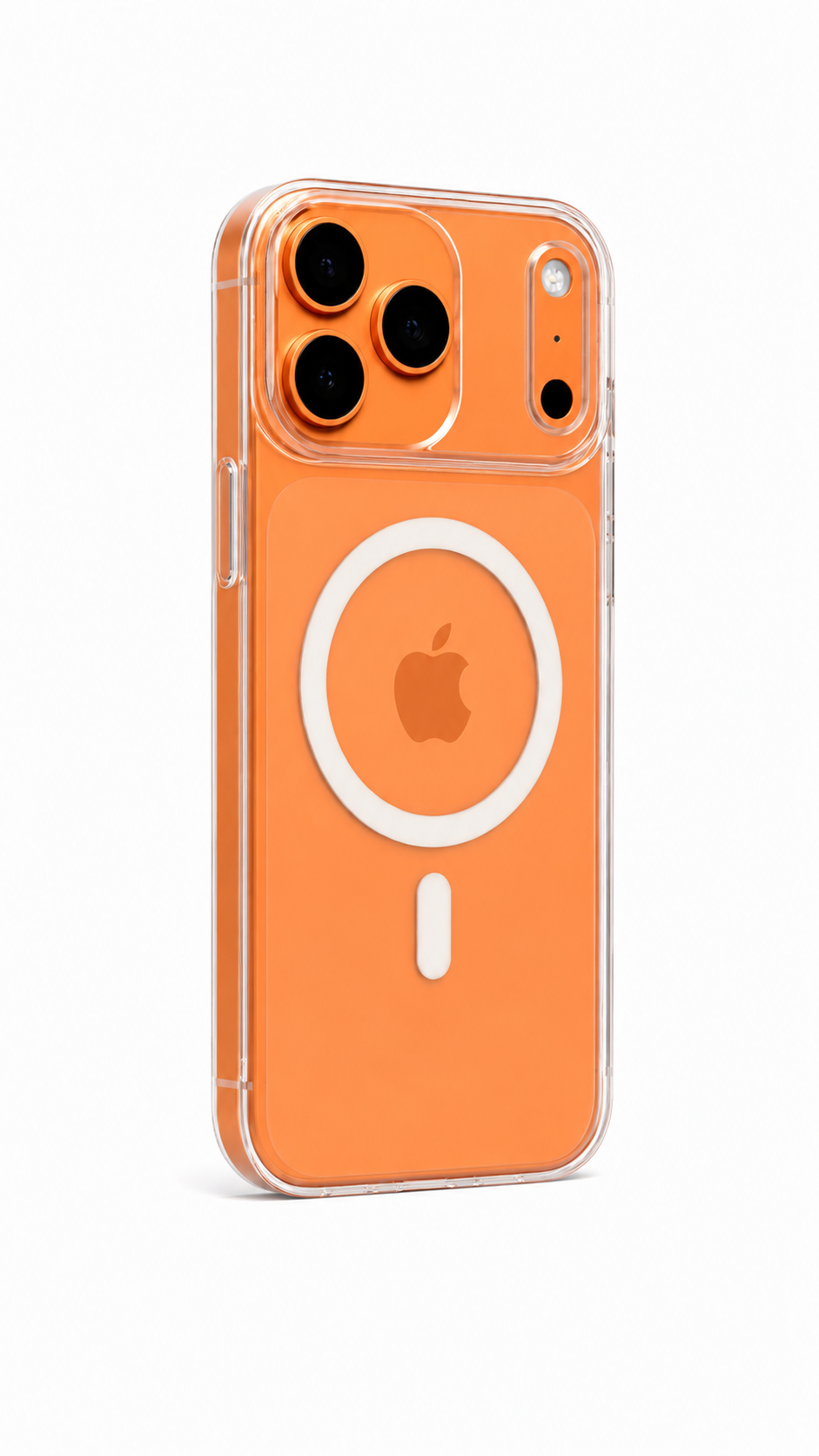 Berlia case