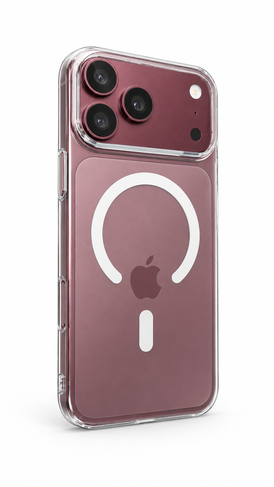 Berlia case
